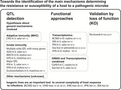 Combining Multiple Approaches and Models to Dissect the Genetic Architecture of Resistance to Infections in Fish